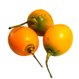 Tomate De Árbol Amarillo